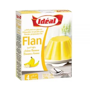 FLAN IDEAL